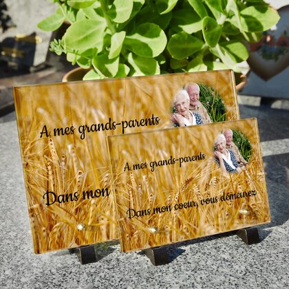 Plaque funéraire ble 13 plapuedacaes.com

