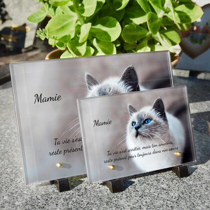 Plaque funéraire chat-majestueux 22 plapuedacaes.com
