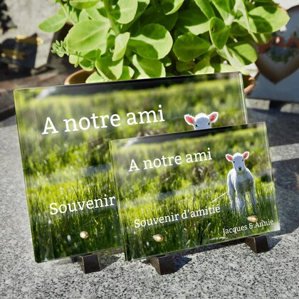 Plaque funéraire agneau 17 plapuedacaes.com
