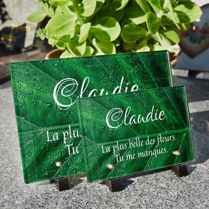 Plaque funéraire feuille-humide 14 plapuedacaes.com
