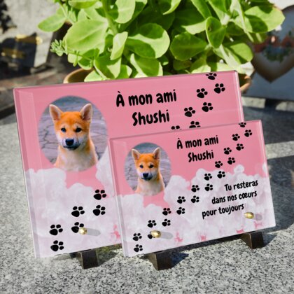 Plaque funéraire empreinte-chien-pastel 25 plapuedacaes.com

