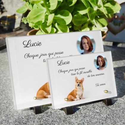 Plaque funéraire corgi-enjoue 1 plapuedacaes.com
