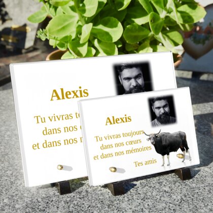 Plaque funéraire plaque-funeraire-taureau 7 plapuedacaes.com
