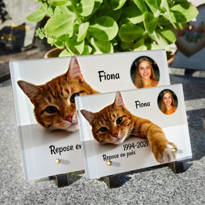 Plaque funéraire chat-orange 6 plapuedacaes.com
