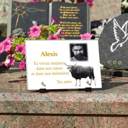 Plaque funéraire plaque-funeraire-taureau 25 plapuedacaes.com

