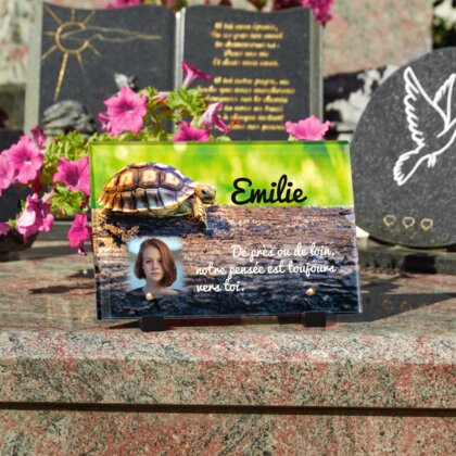 Plaque funéraire plaque-funeraire-tortue 30 plapuedacaes.com
