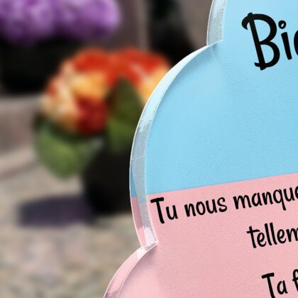 Plaque funéraire jouet-et-bol-pour-chiens-forme-nuage 1 plapuedacaes.com
