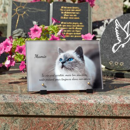 Plaque funéraire chat-majestueux 22 plapuedacaes.com
