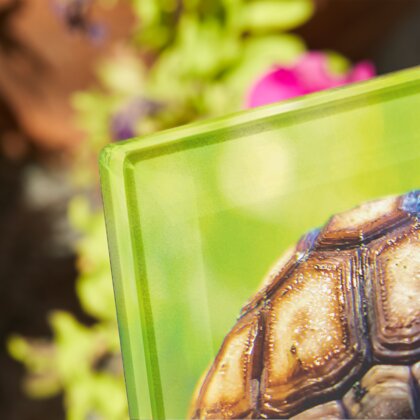 Plaque funéraire plaque-funeraire-tortue 1 plapuedacaes.com
