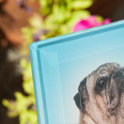Plaque funéraire os-pour-chien 1 plapuedacaes.com

