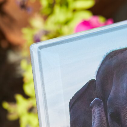 Plaque funéraire plaque-funeraire-elephant 7 plapuedacaes.com

