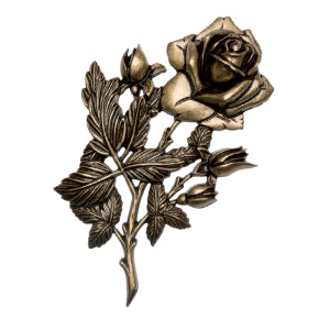 Branche roses